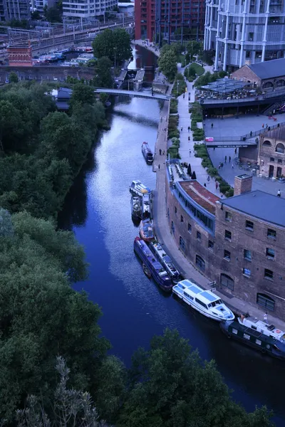 DSC_1675 (Large).JPG